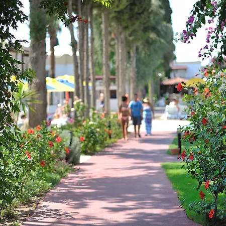 Bitez Garden Life בודרום