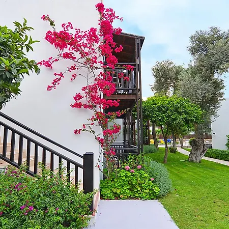 Bitez Garden Life - 4* Bodrum